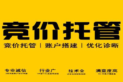 百度SEO推广公司案例分享：行业佼佼者经验